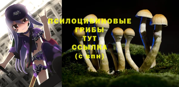 ECSTASY Снежногорск