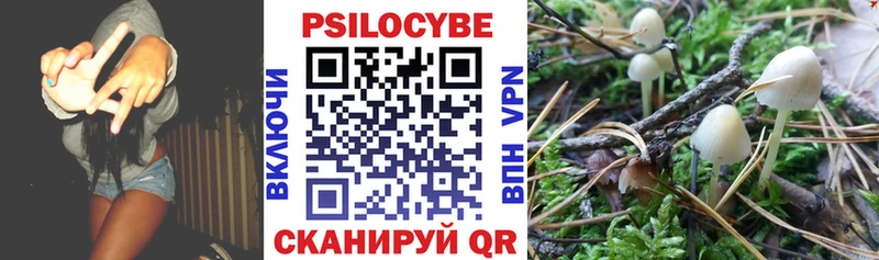 дарнет шоп  Павловск  Псилоцибиновые грибы Psilocybine cubensis 